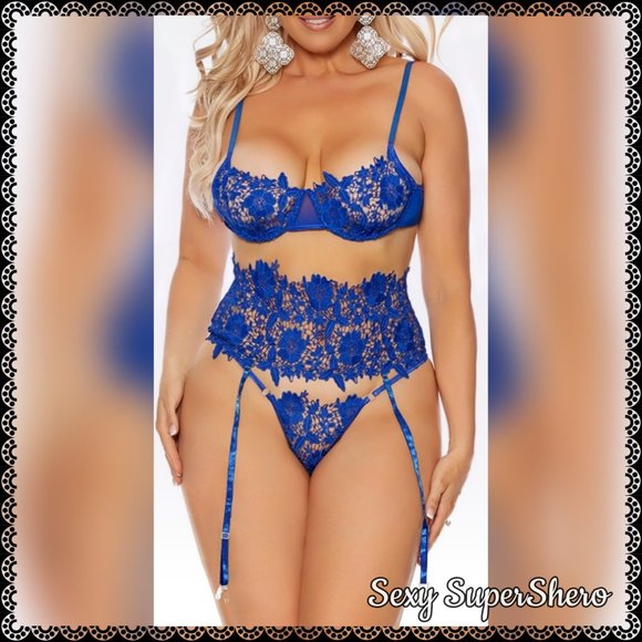 🆕👑Royal Blue Embroidered Lace & Mesh Sexy 3 PC Lingerie Set w Waist Cincher - Picture 4 of 7